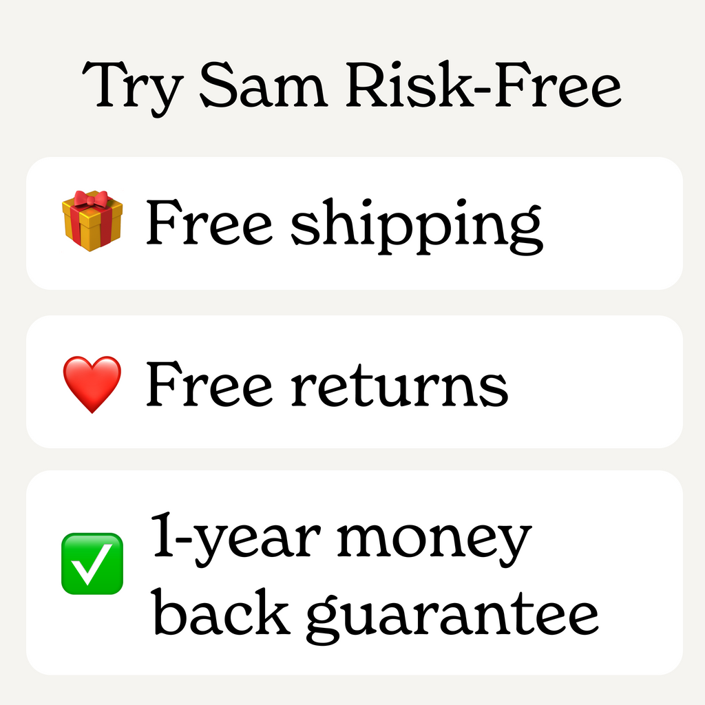 Sam: Smart Assistant for Seniors
