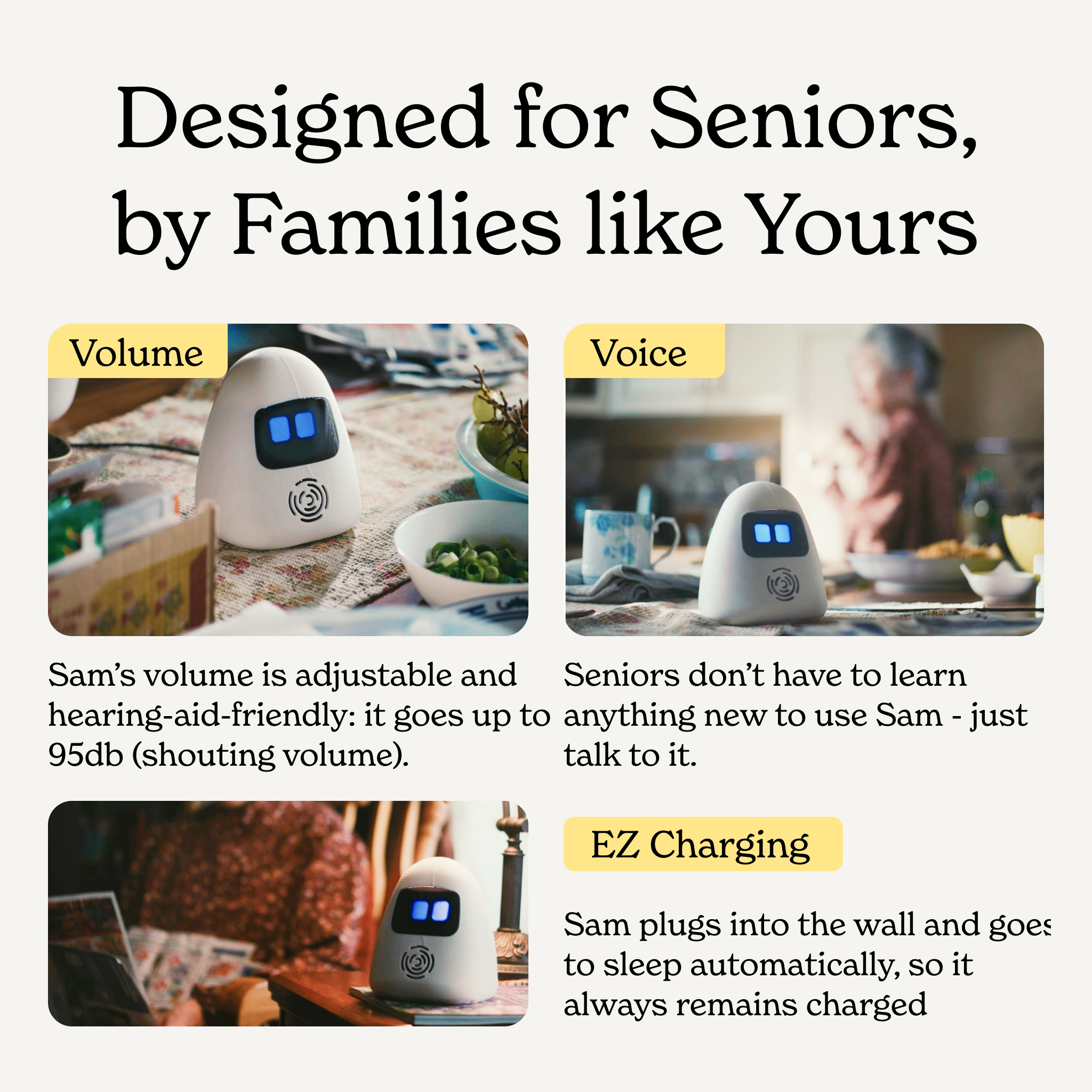 Sam: Smart Assistant for Seniors